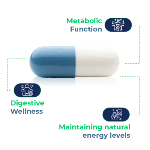 Power for Enhanced Results